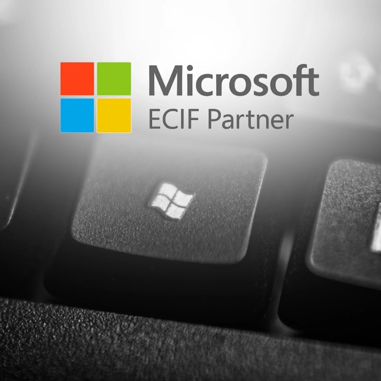 Microsoft ECIF Partner